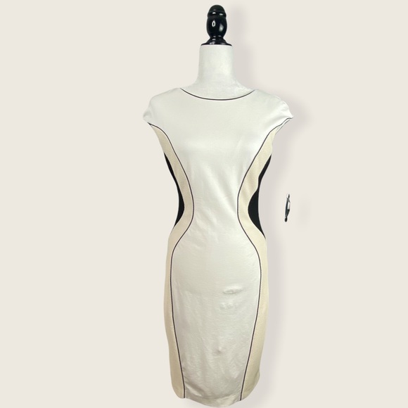 Ann Taylor Women’s Wear to Work Fitted Neutral Short Sleeve Midi Bodycon Dress 4 - Picture 4 of 15